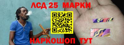 трава Новозыбков