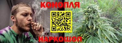 трава Новозыбков