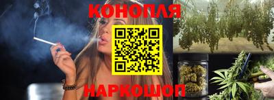 гидра Нальчик