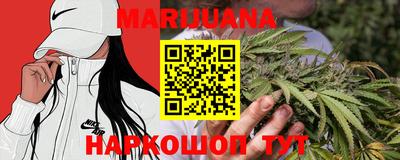 трава Новозыбков