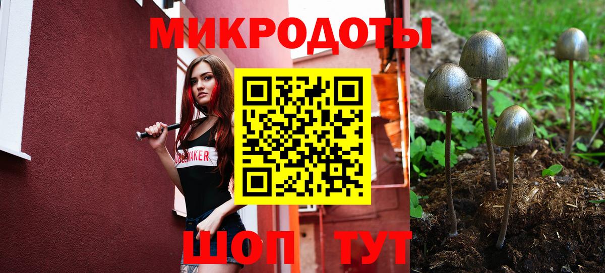 Псилоцибиновые грибы Psilocybine cubensis  Псилоцибиновые грибы Magic Shrooms  Рыбинск  Вход с VPN 